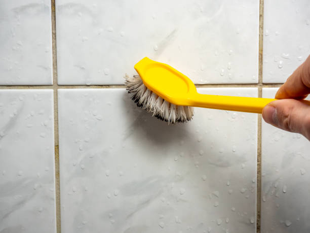 Best Home Mold Removal  in Crewe, VA