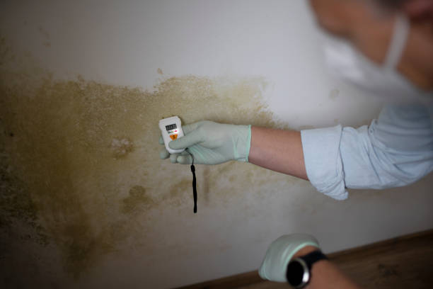 Water Damage Restoration in Crewe, VA
