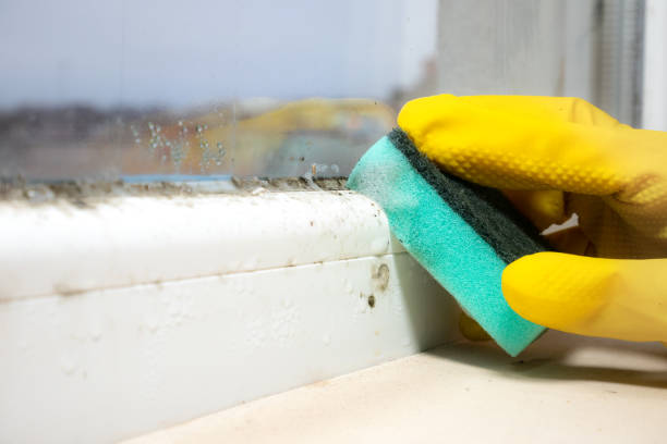 Best Professional Mold Removal  in Crewe, VA