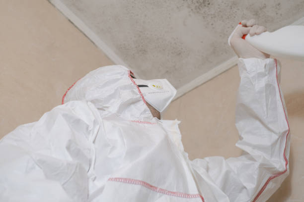 Best Mold Remediation  in Crewe, VA